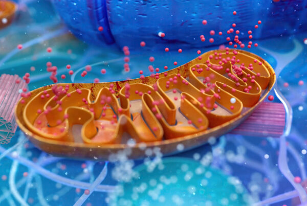 Mitochondrial Optimization: Unlocking the Secrets to Vitality and Longevity
